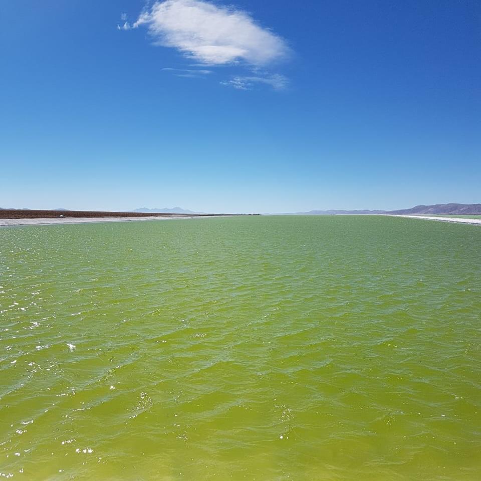 Laguna de aguas verdes en la puna argentina